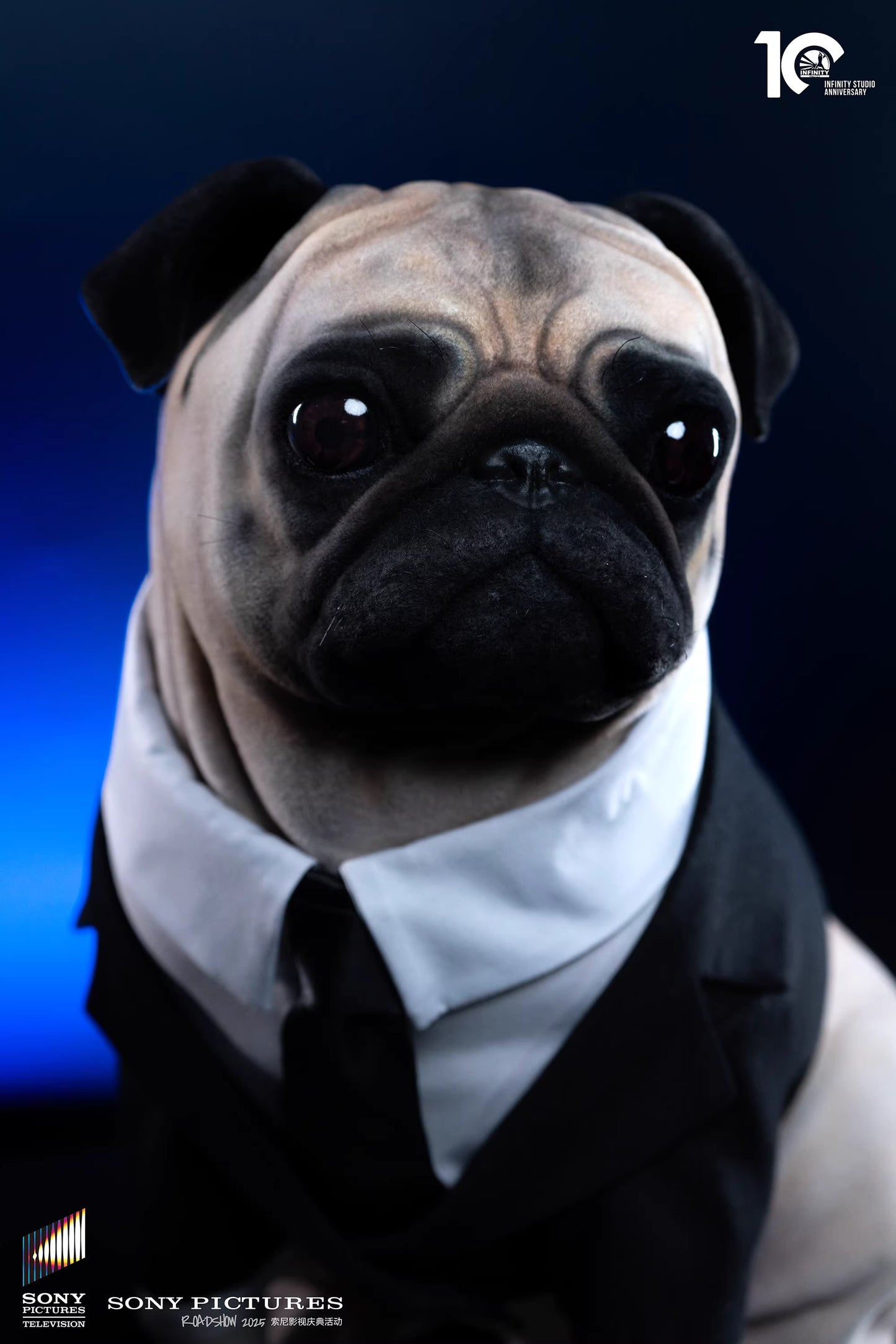 Infinity - Frank the Pug