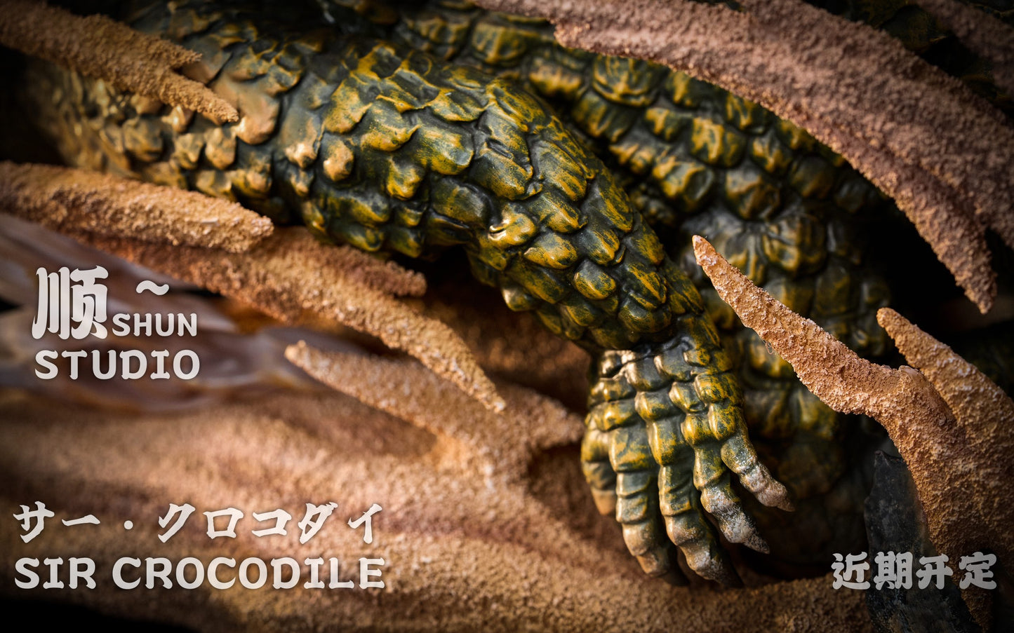 Shun - Crocodile