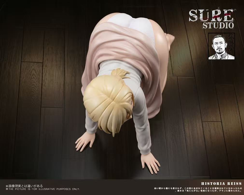 Sure - Historia