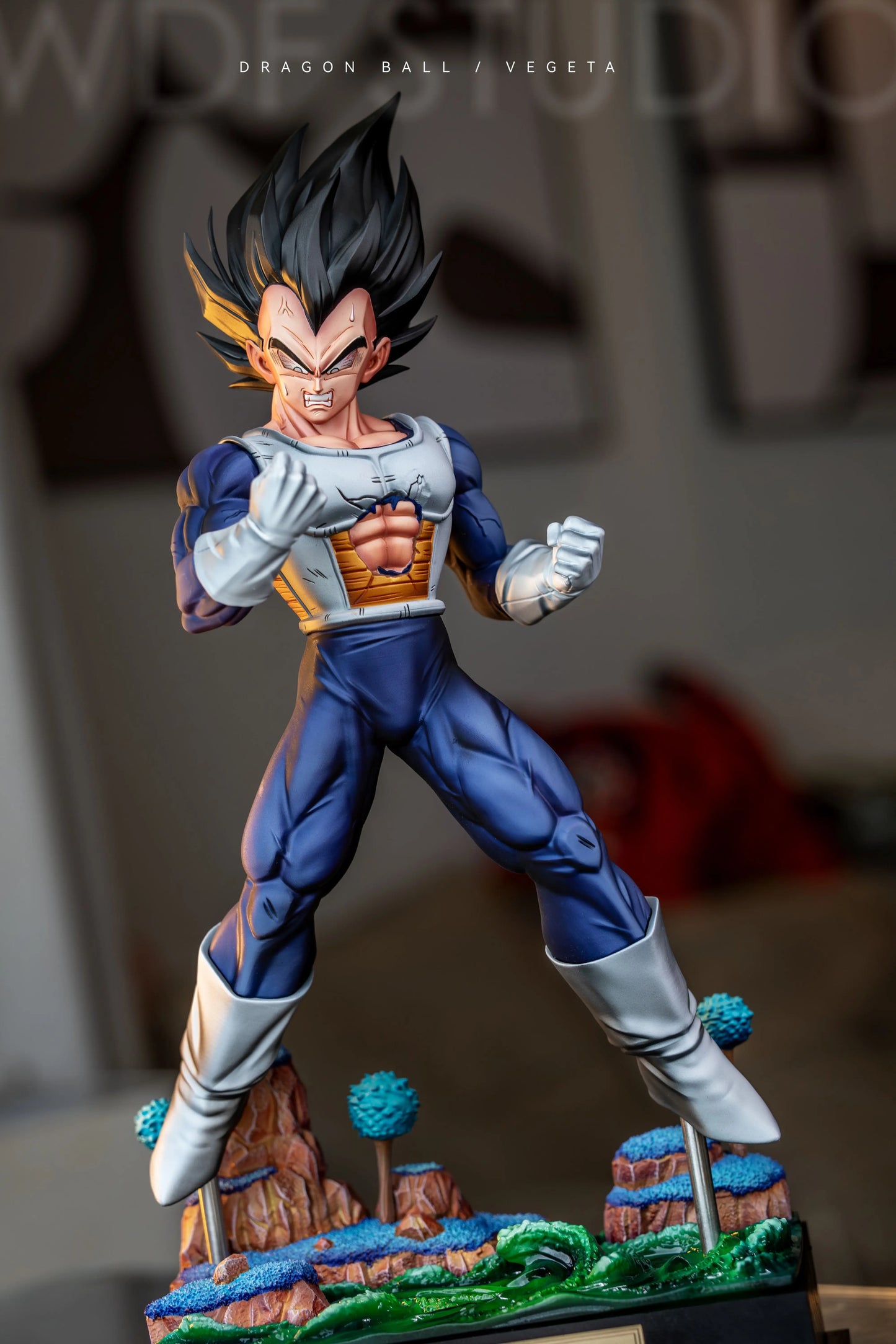WDF - Vegeta