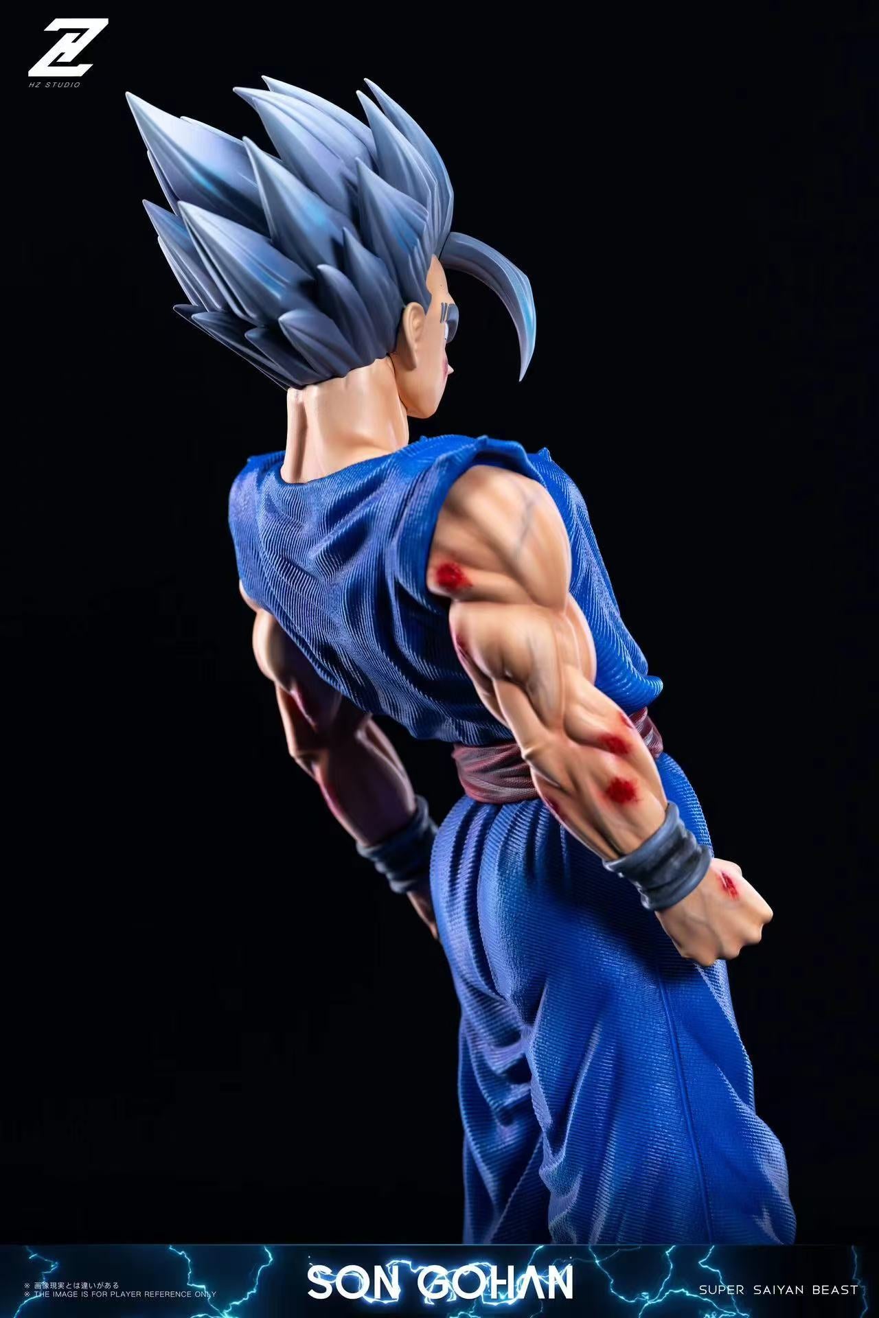 HZ - Gohan Beast