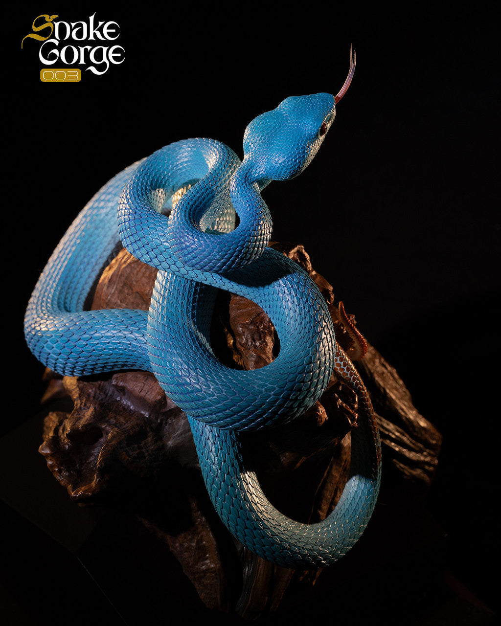 Snake Gorge - Indonesian pit viper
