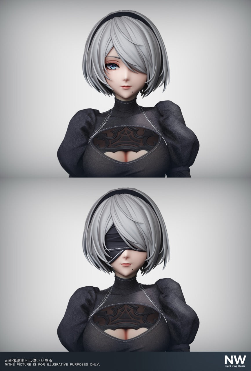 Night Wings - 2B