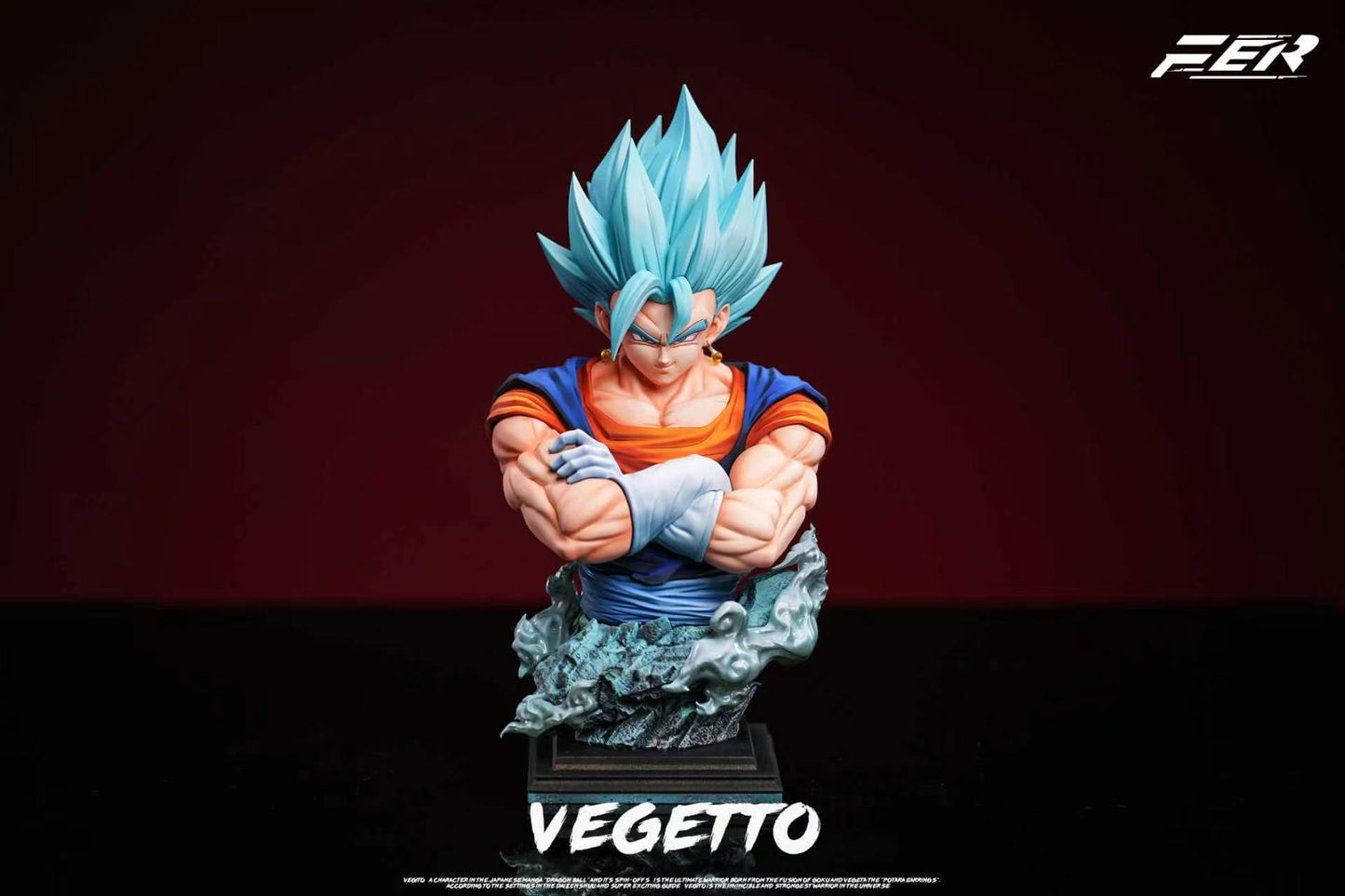 FER - Vegito