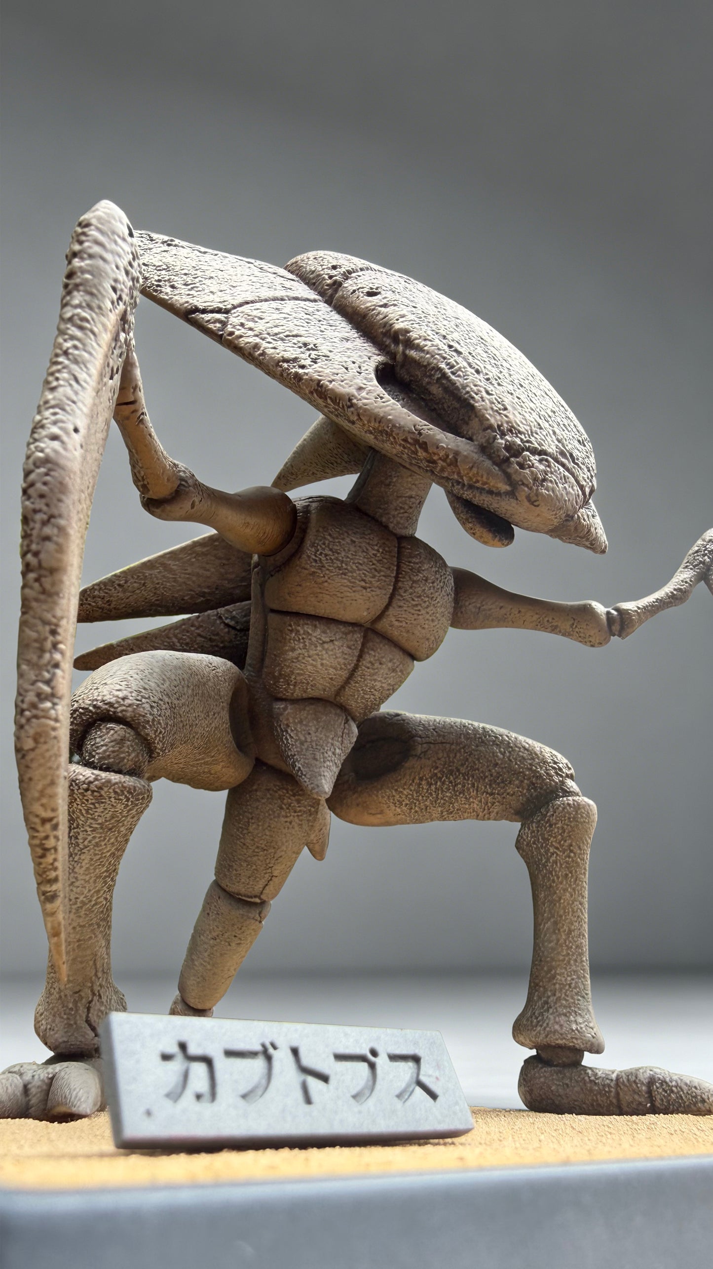 Miumiu - Kabutops and Kabuto Fossils