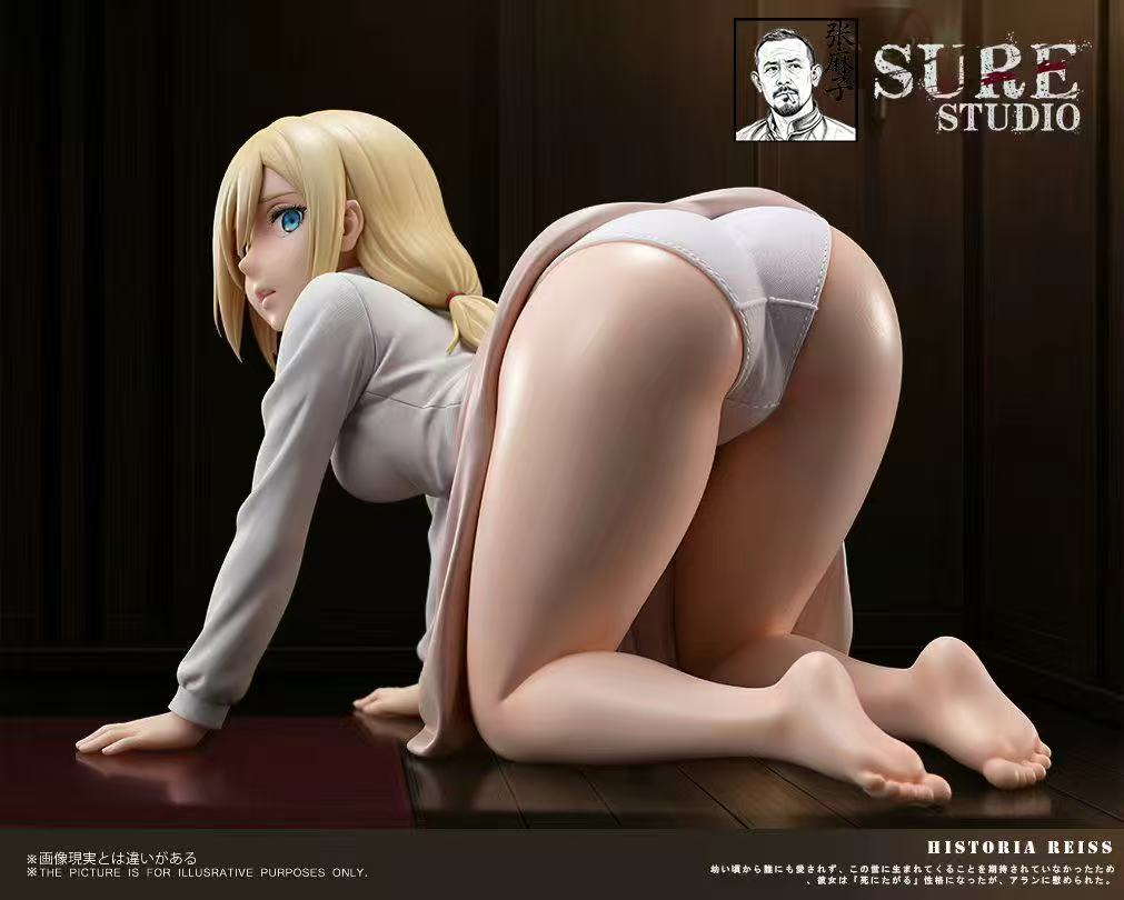 Sure - Historia