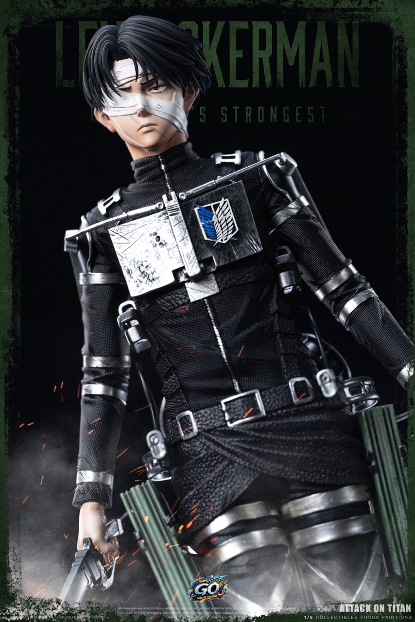 Go Figure - Levi