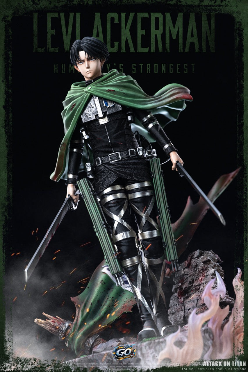 Go Figure - Levi