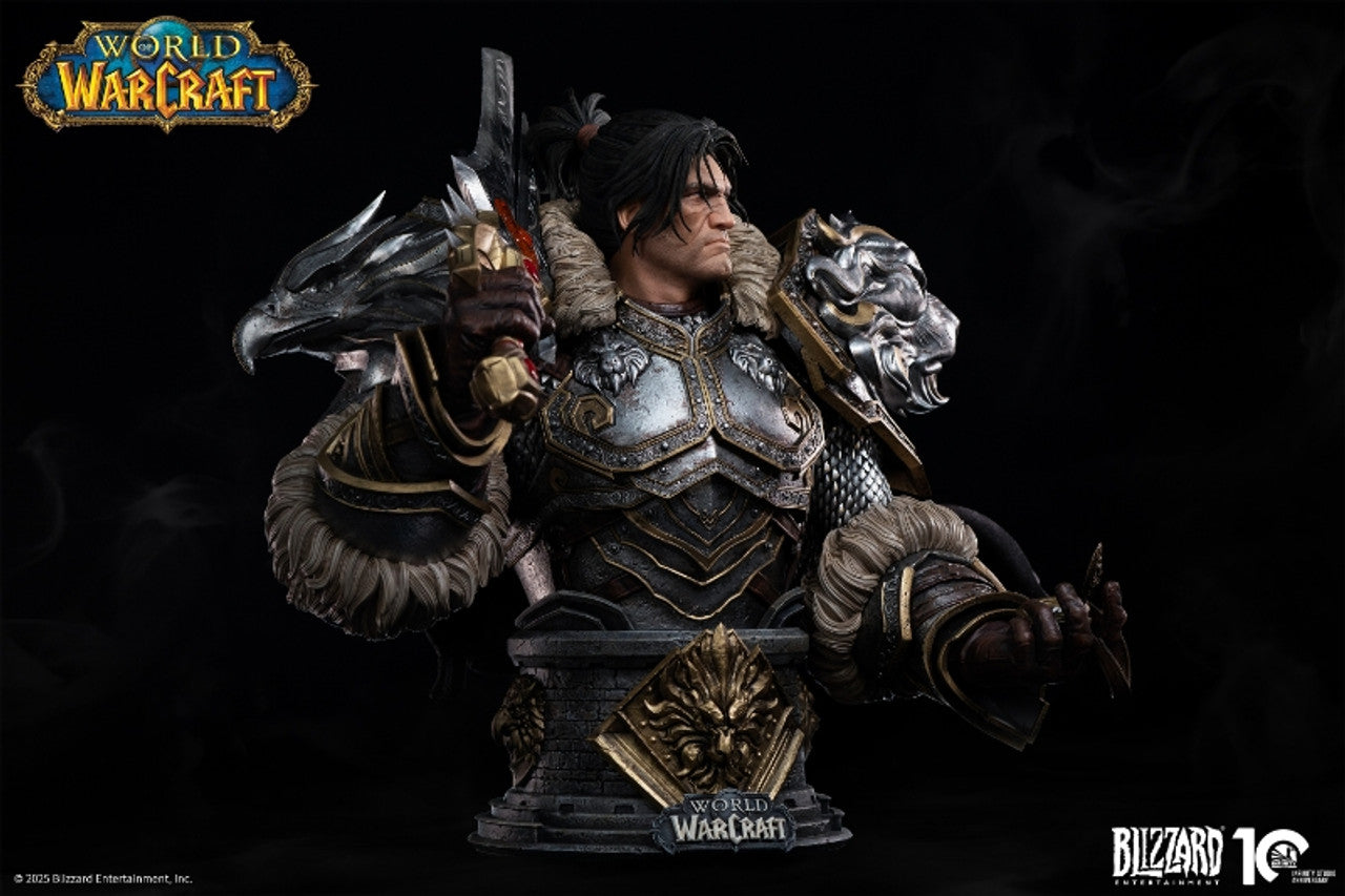 Blizzard Entertainment - Varian Wrynn
