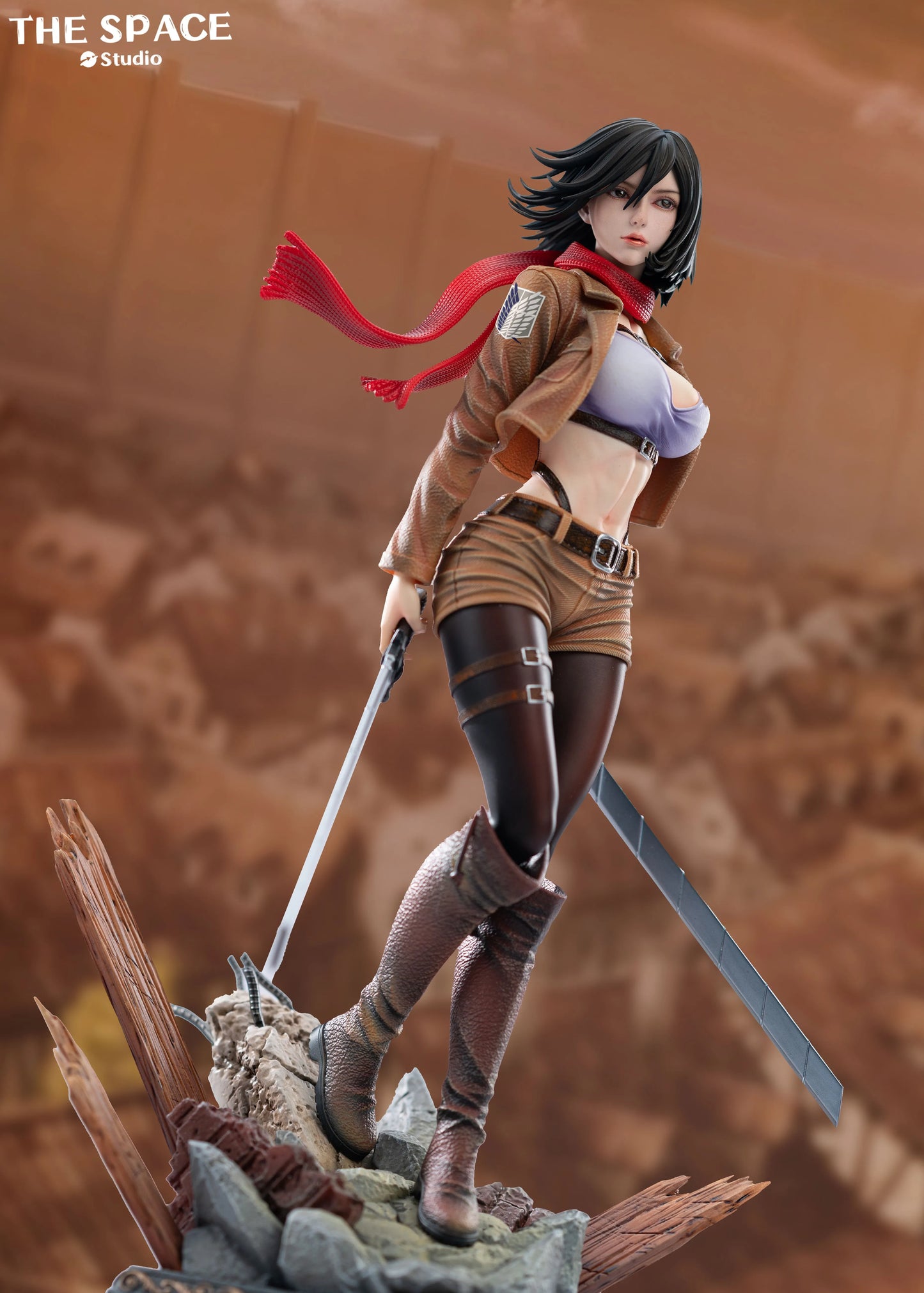 The Space - Mikasa