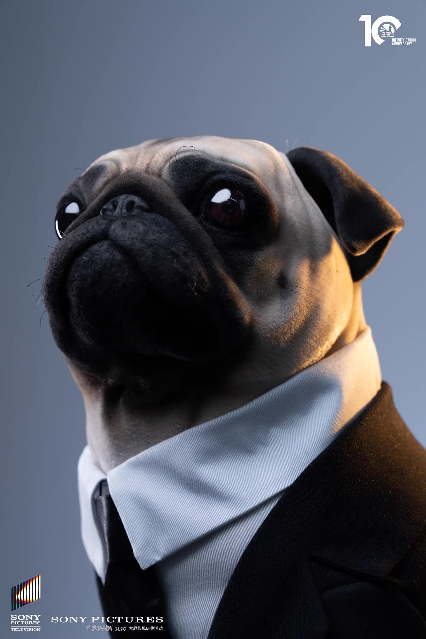 Infinity - Frank the Pug