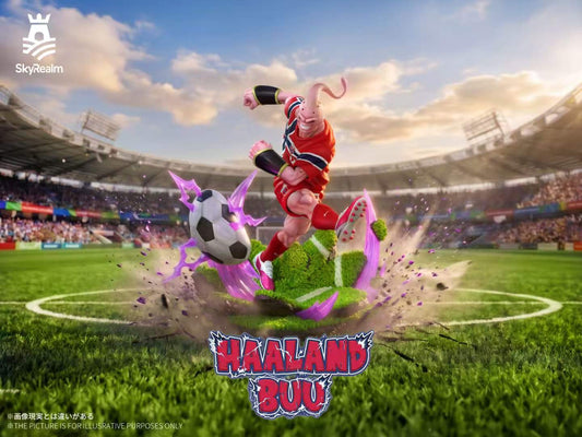 Sky Realm - Super Haaland Buu