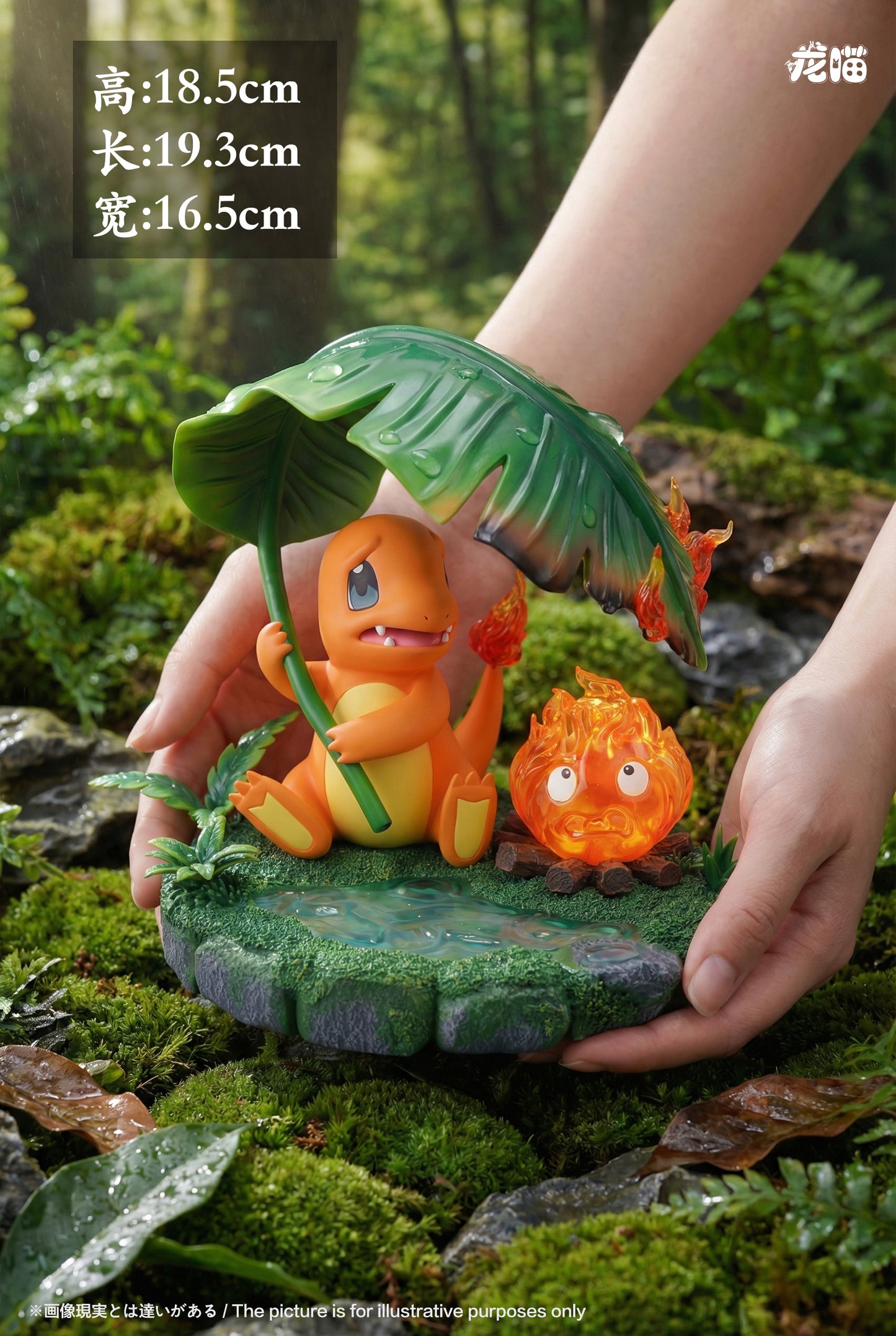 Long Miao - Charmander and Calcifer