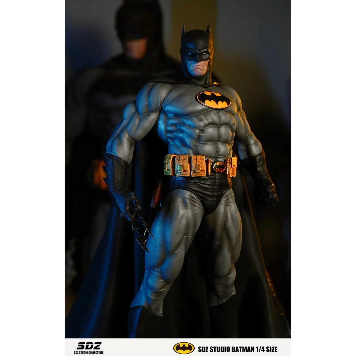 SDZ - Batman