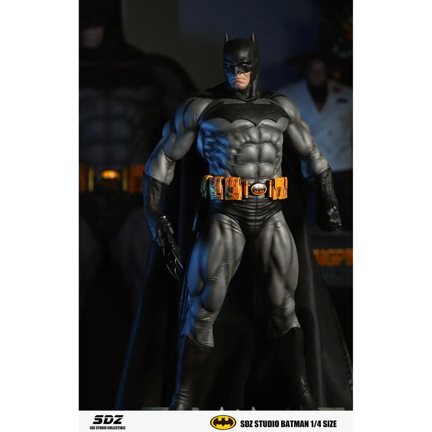 SDZ - Batman