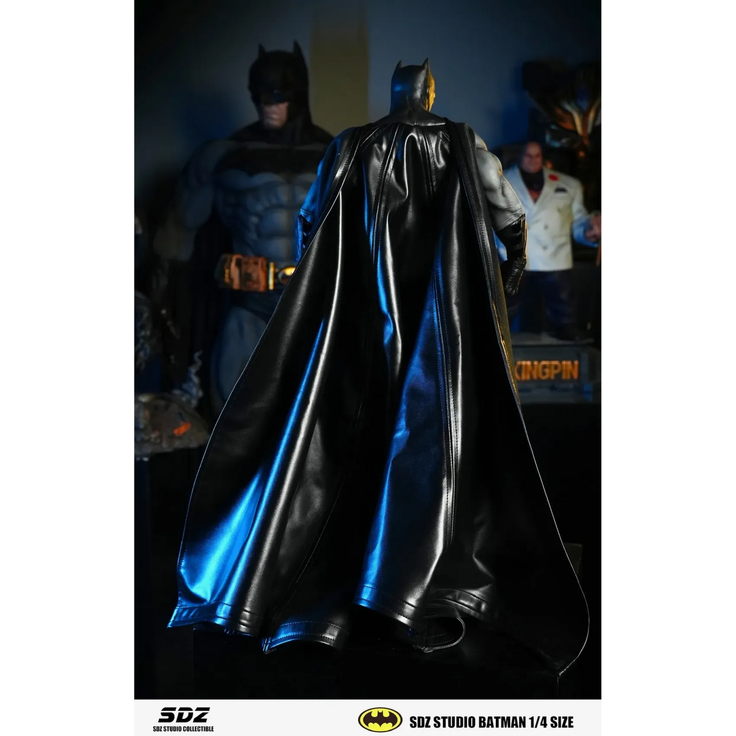SDZ - Batman