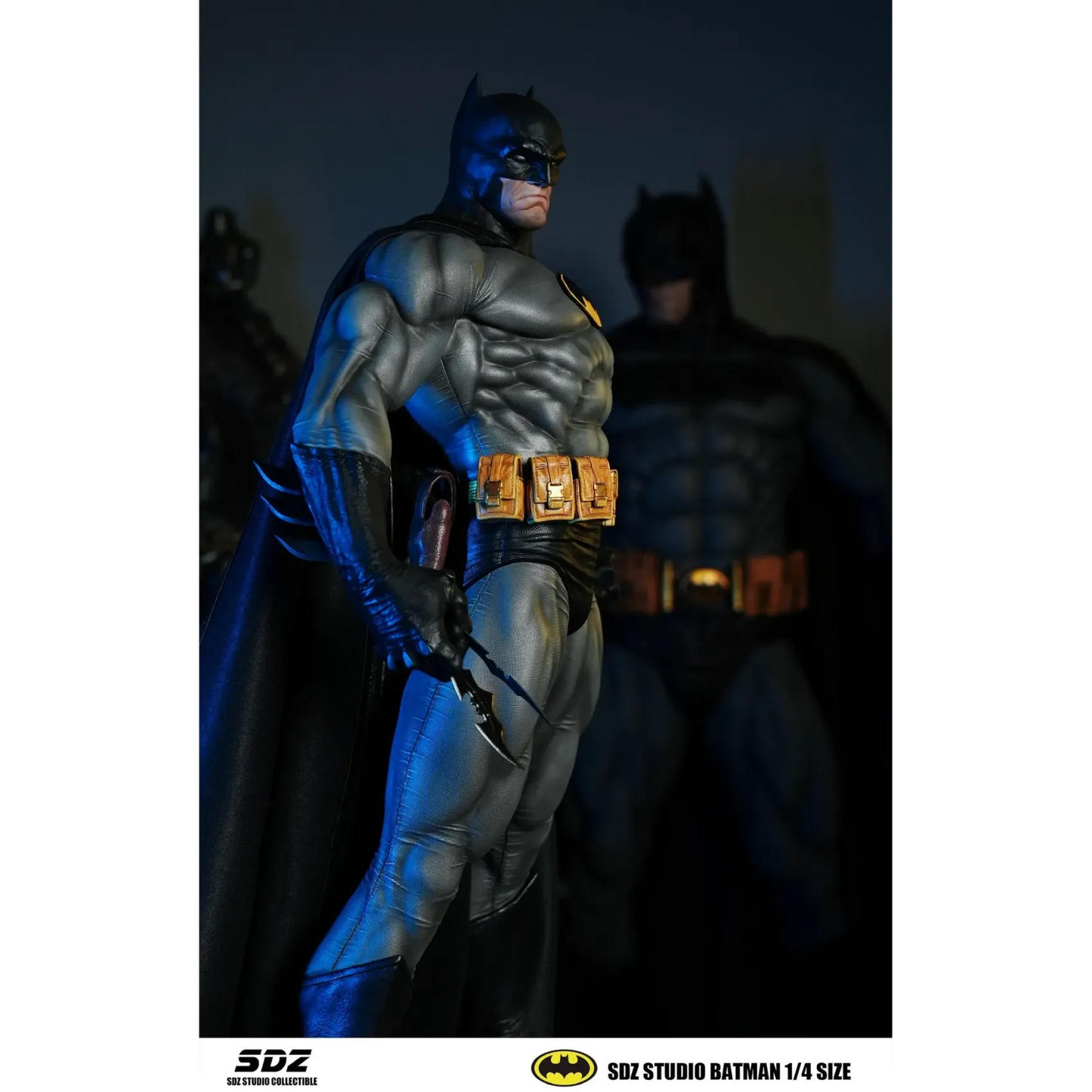 SDZ - Batman