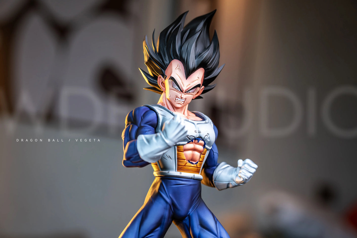 WDF - Vegeta