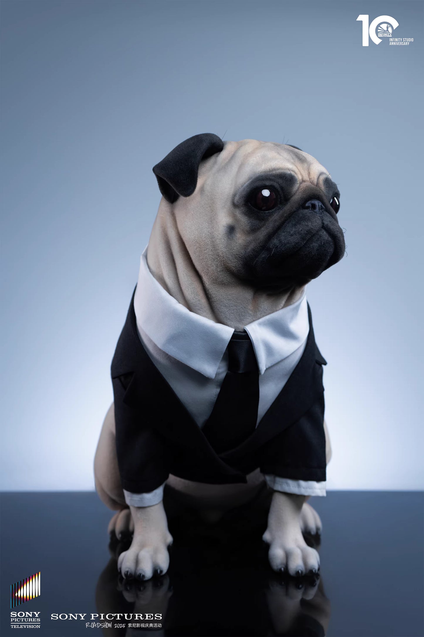 Infinity - Frank the Pug