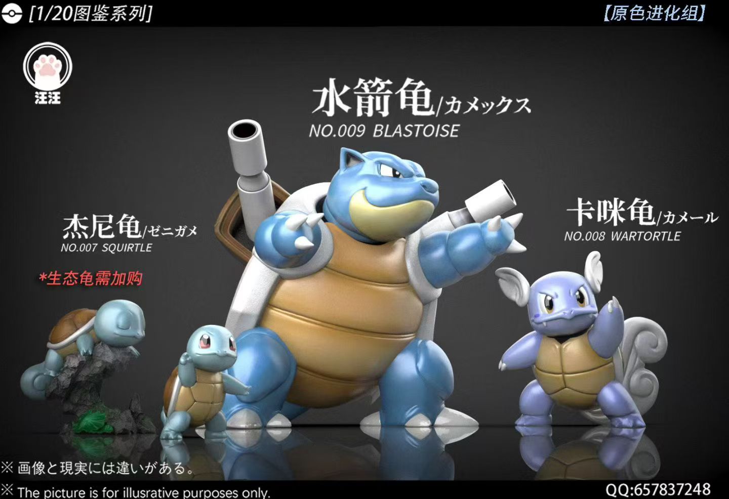 Wang Wang - Blastoise