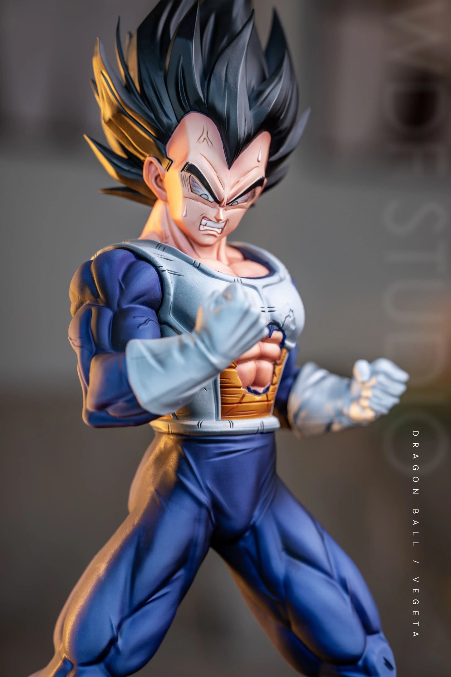 WDF - Vegeta