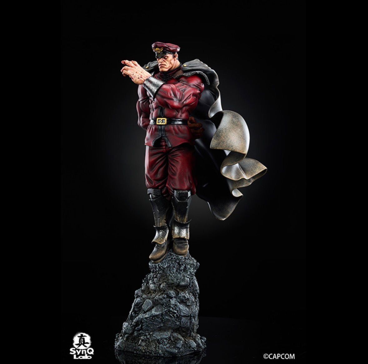 SynQ Lab - M. Bison
