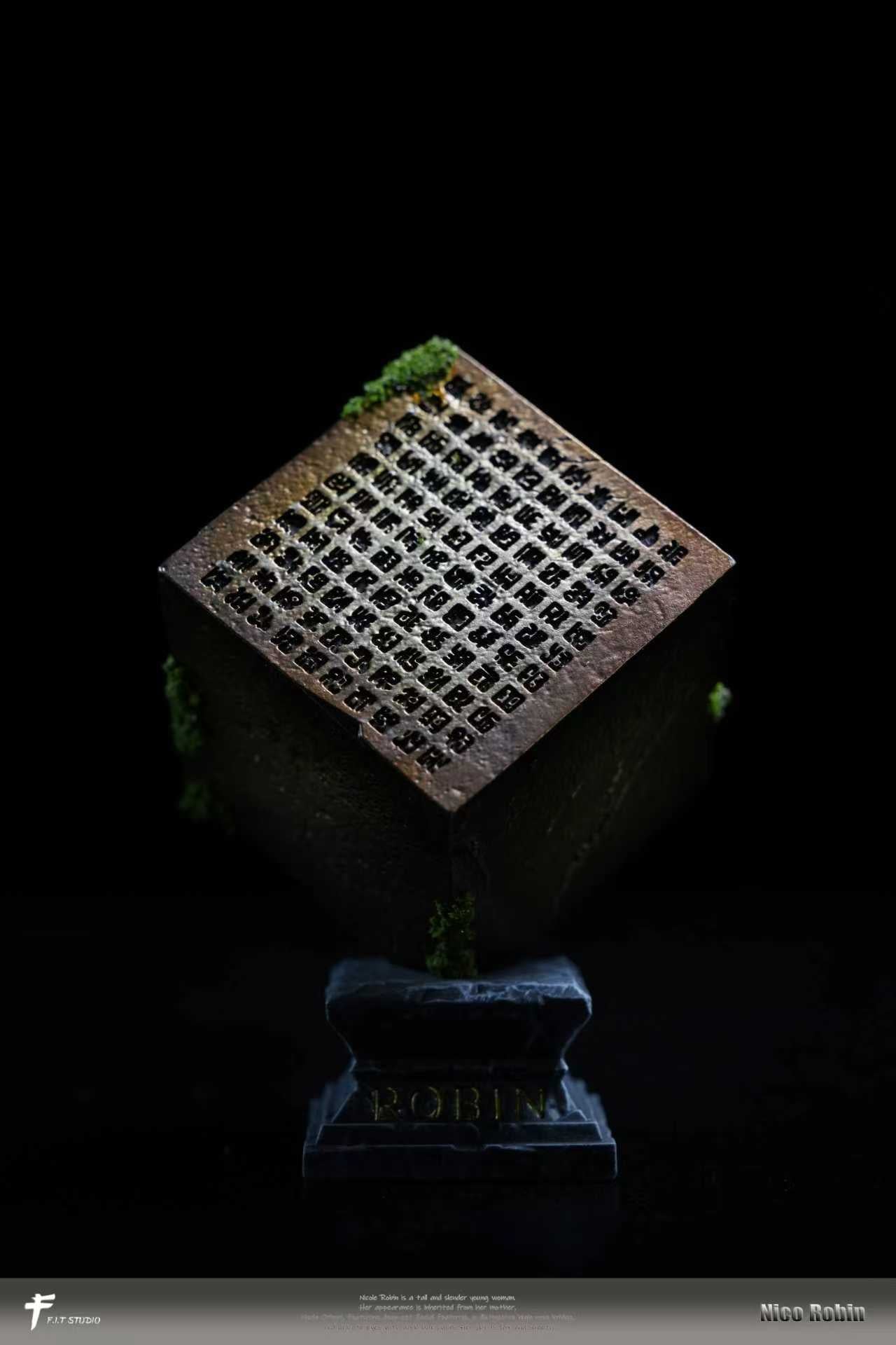 FIT - Nika Nico Robin