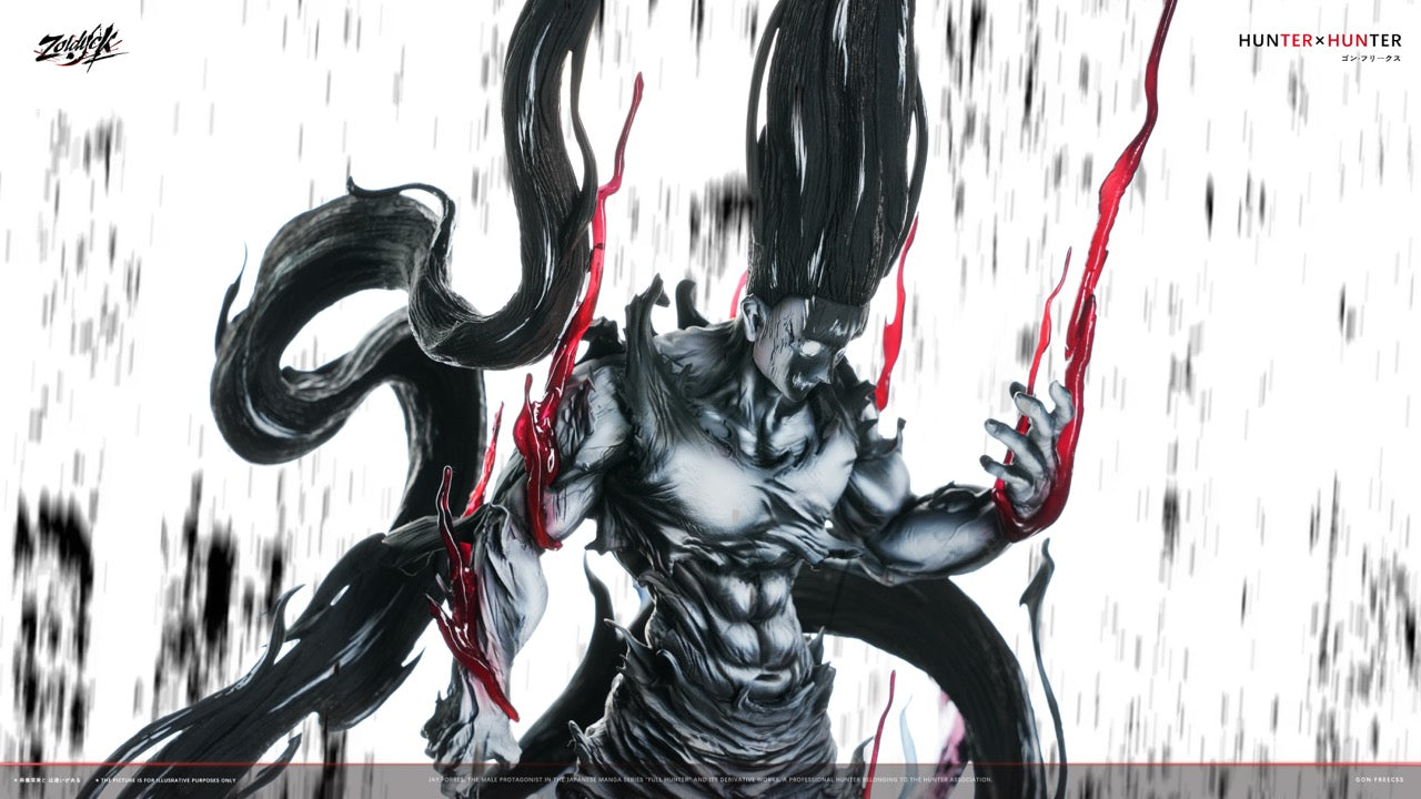Zoldyck - Gon