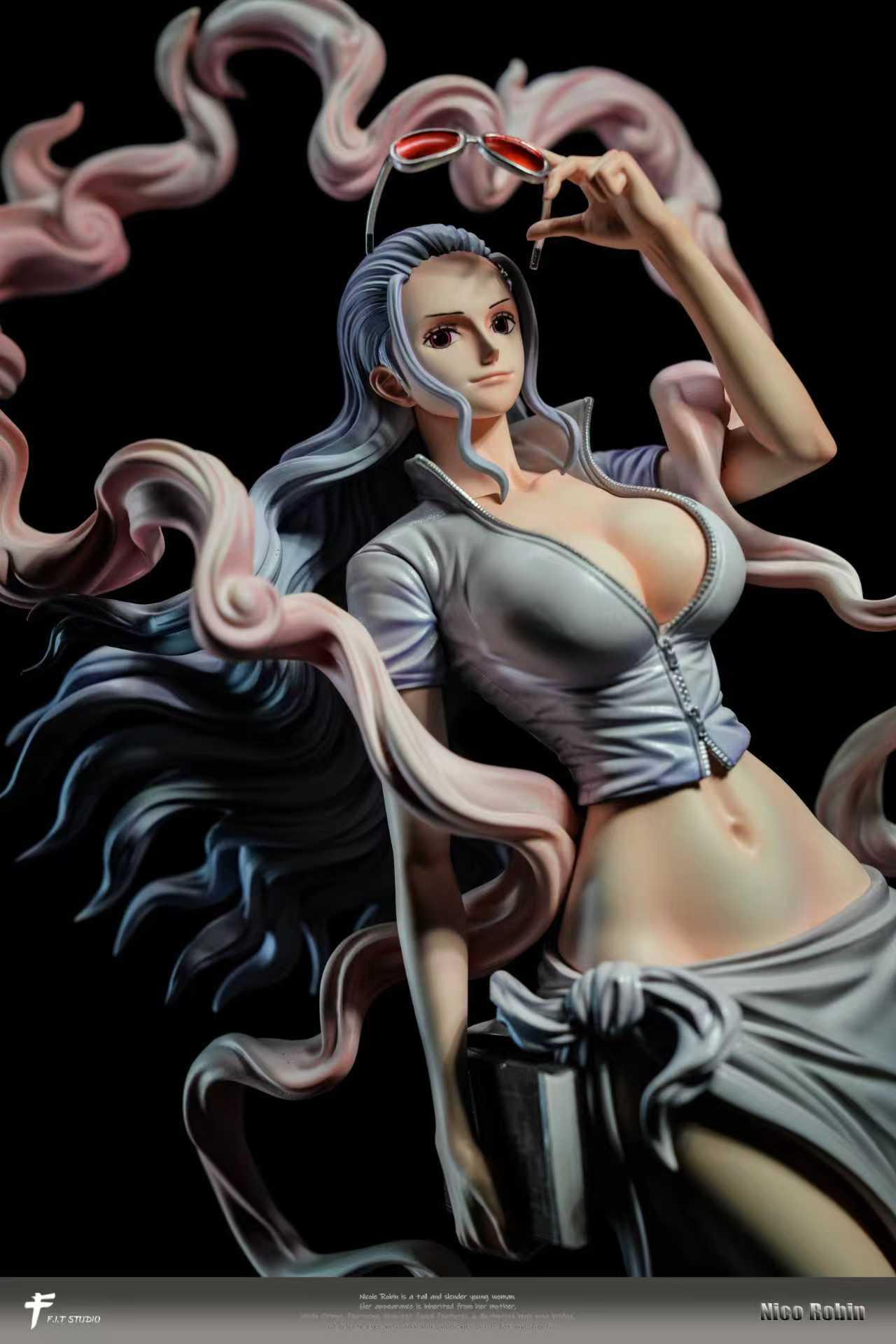 FIT - Nika Nico Robin