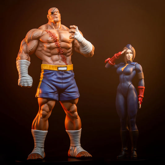 Sideshow Collectibles - Sagat and Juli