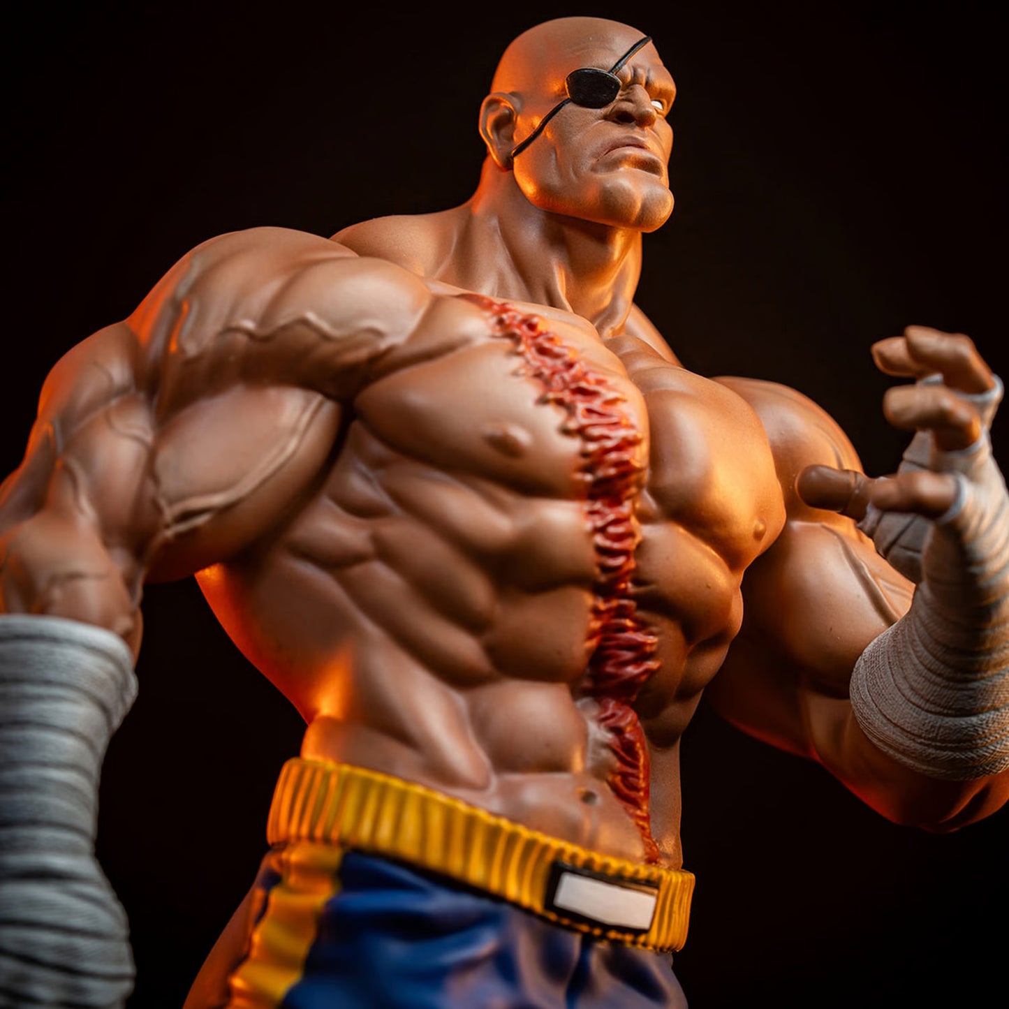 Sideshow Collectibles - Sagat and Juli