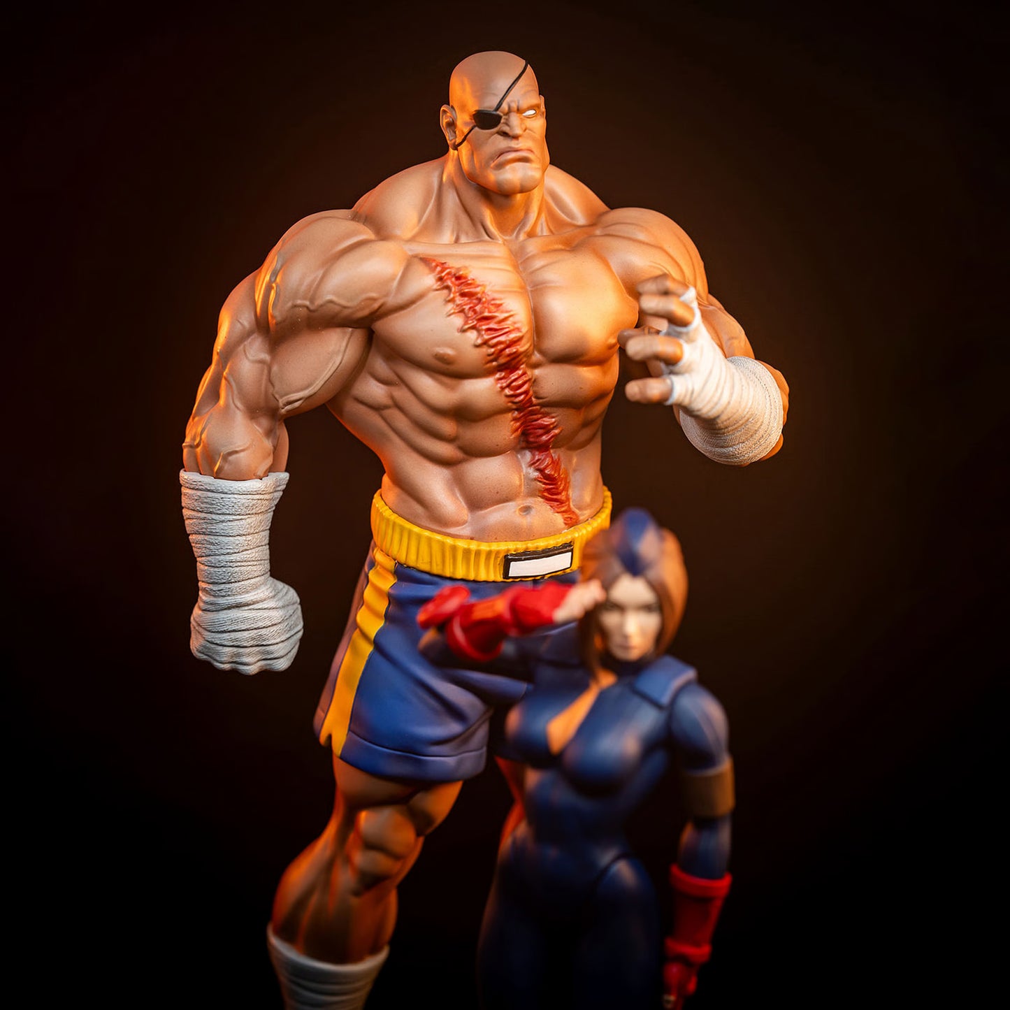 Sideshow Collectibles - Sagat and Juli
