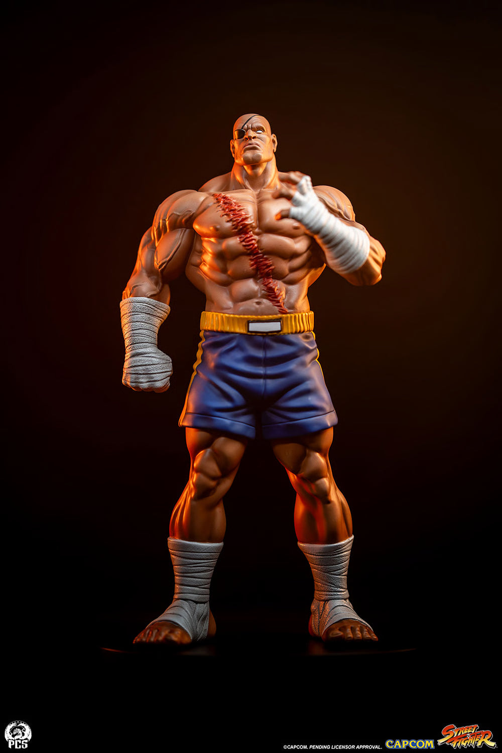 Sideshow Collectibles - Sagat and Juli