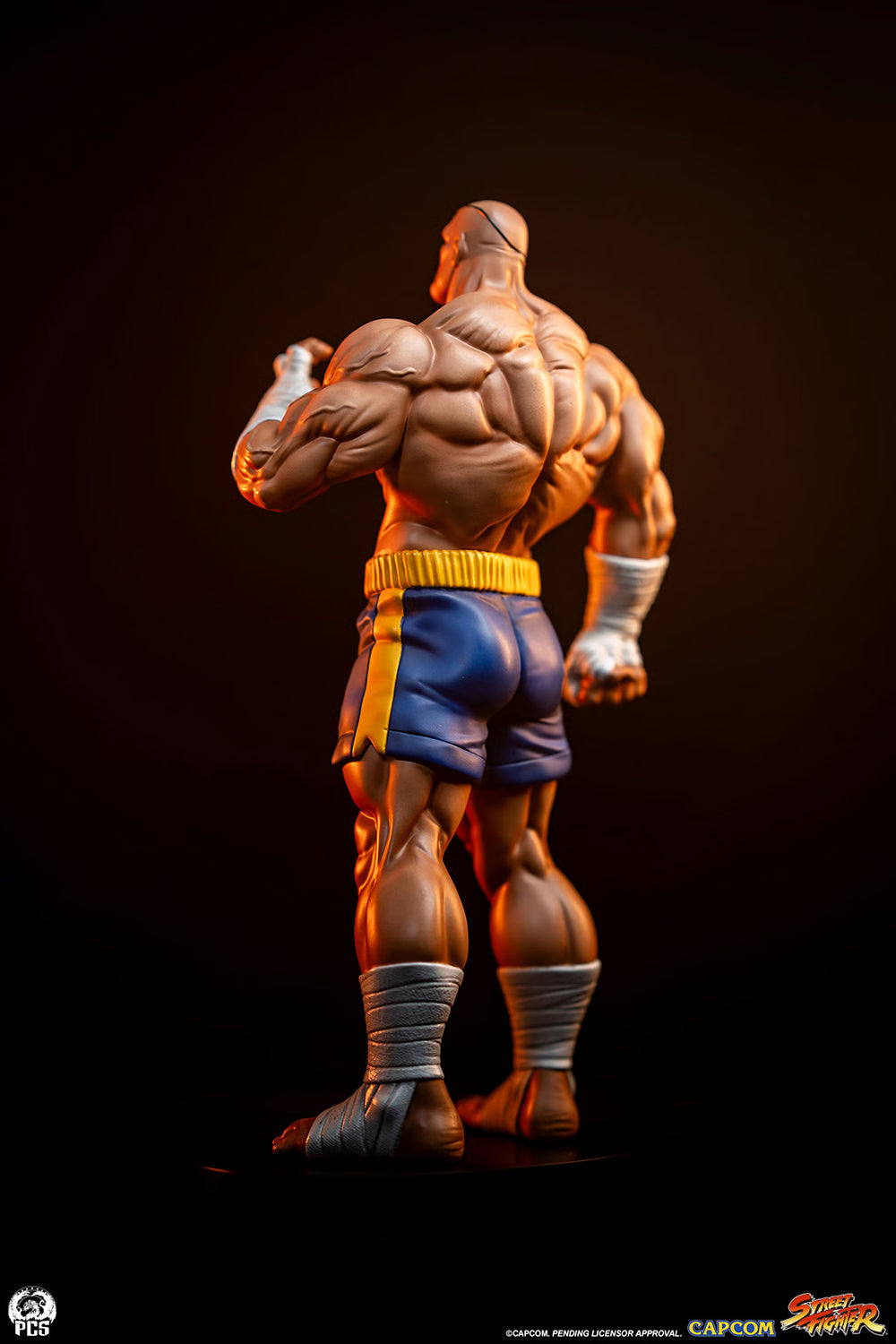 Sideshow Collectibles - Sagat and Juli