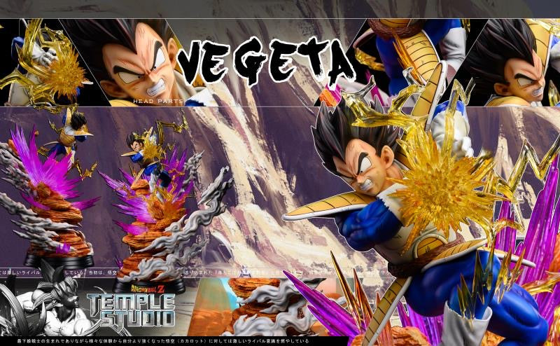 SIGNED Vegeta offers (Galick Gun) w/ COA